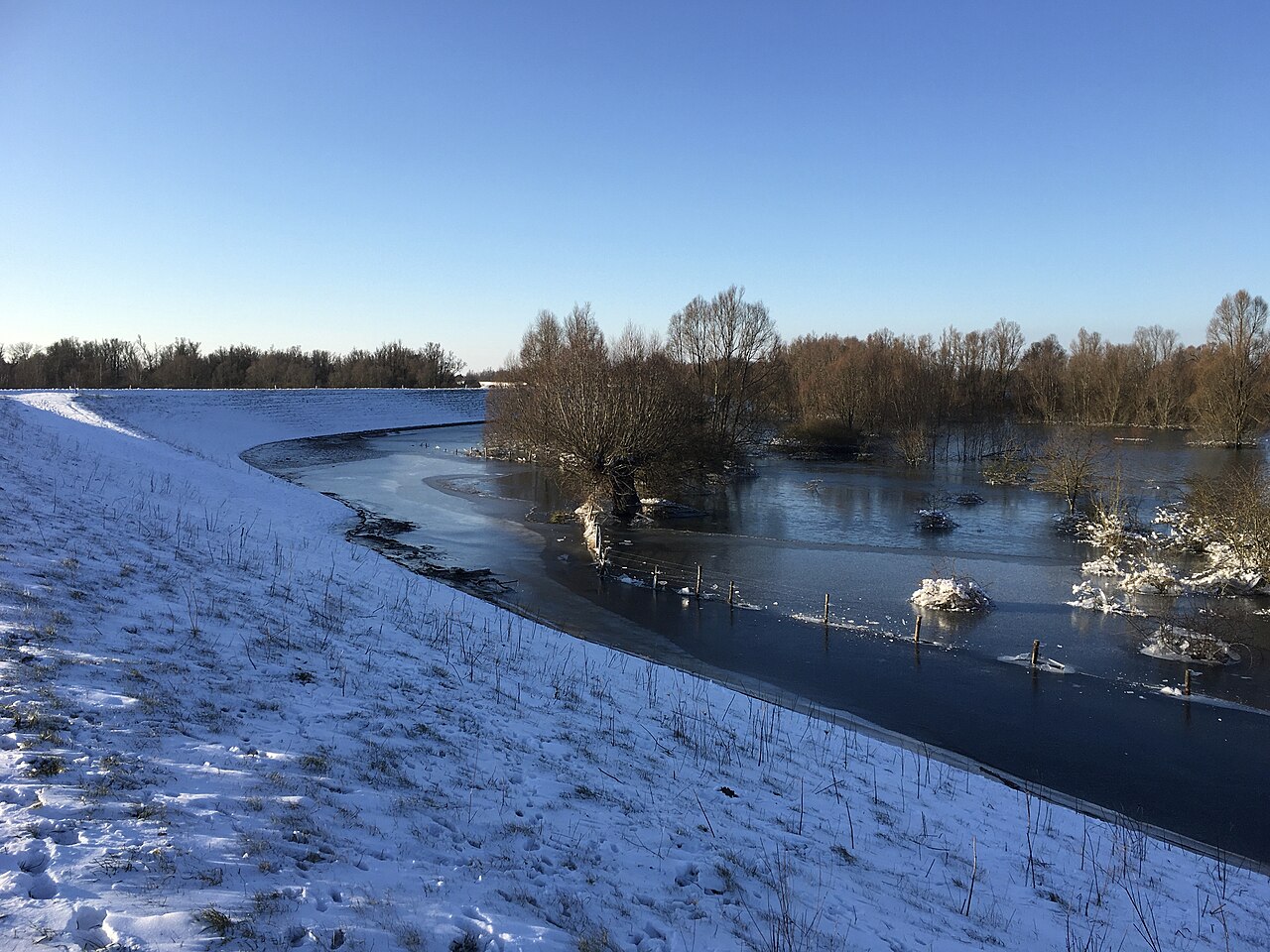 Winter on the Waal floodplain near Ooij. A reference photograph of the area, not the place where B. was found.